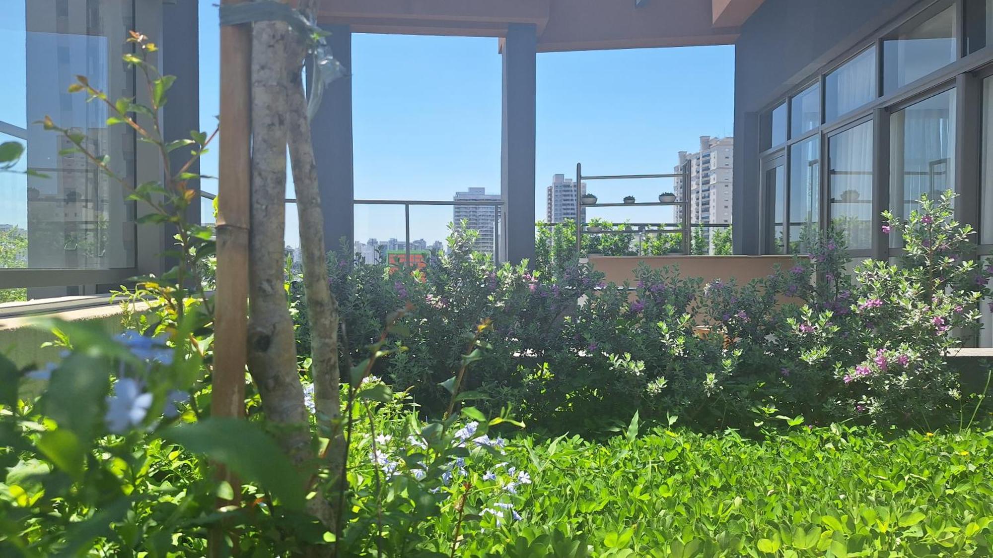 Apartamento Alle Apartamento Studio